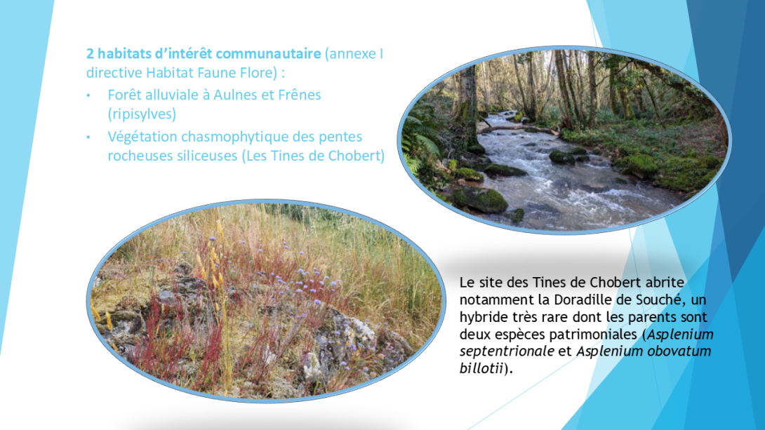 Habitats communautaires